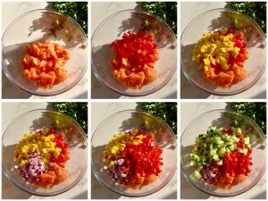 ceviche de saumon
