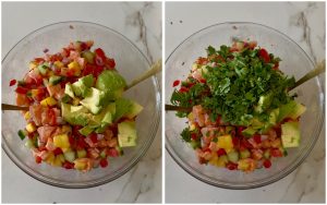 ceviche de saumon